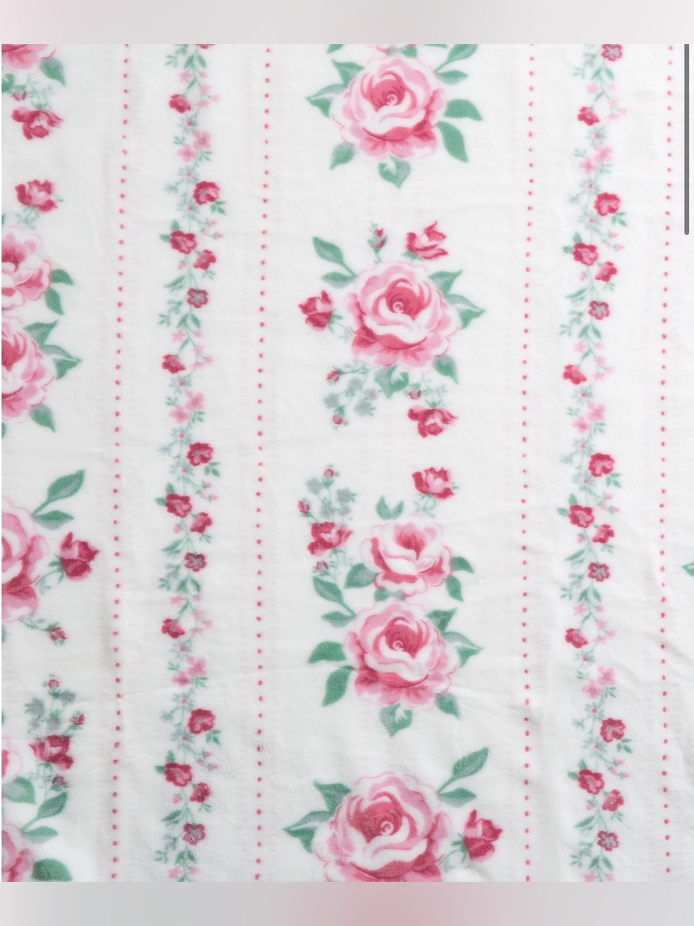 FARMHOUSE RACHEL ASHWELL SHABBY CHIC ROSE GARDEN STRIPED WHIMSICAL THROW BLANKET